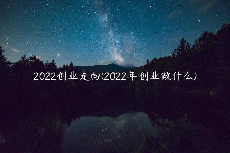 2022创业走向(2022年创业做什么)