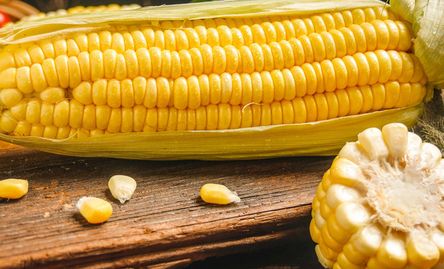 玉米缺苗怎么办