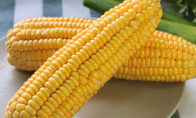 玉米做有机肥的方法