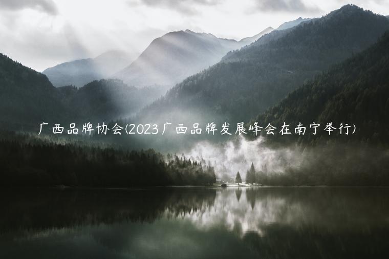 广西品牌协会(2023广西品牌发展峰会在南宁举行)