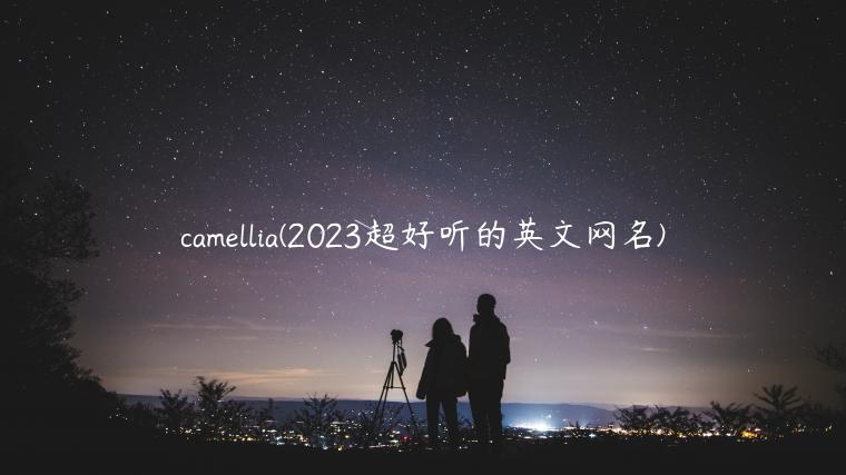 camellia(2023超好听的英文网名)